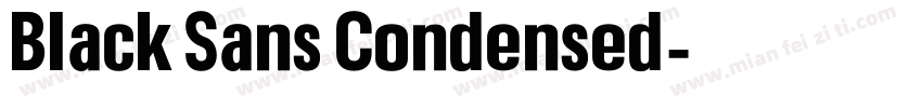 Black Sans Condensed字体转换